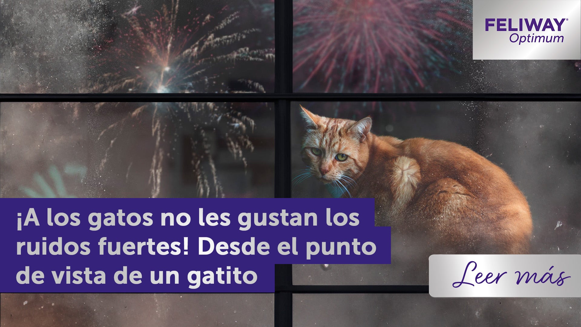 gato naranja asustado al lado de una ventana con fuegos artificiales.