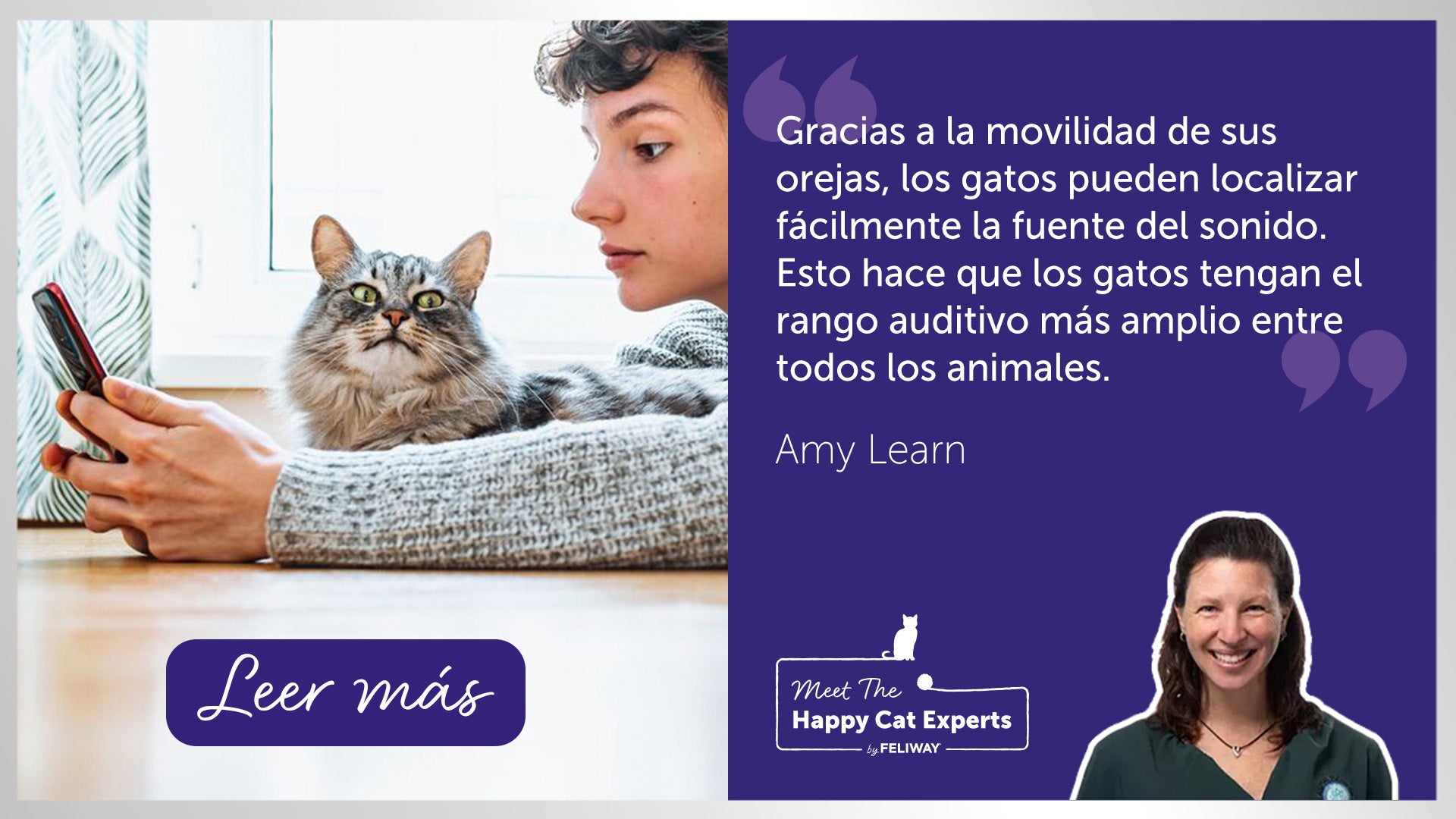 El sentido del oído de los gatos. ¡Una experta en gatos felices nos lo explica!